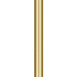 Gold Retractable Barrier Pole with Red Belt